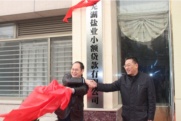 芜湖UG环球小额贷款有限公司12月26日举行开业庆典