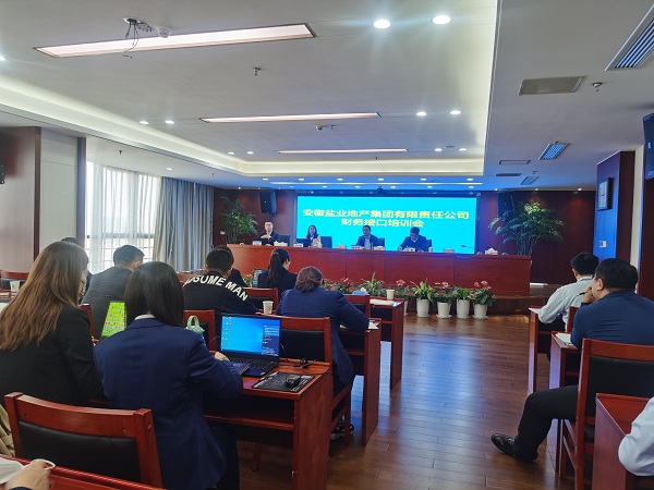 徽盐地产集团开展明源与财务接口实操培训