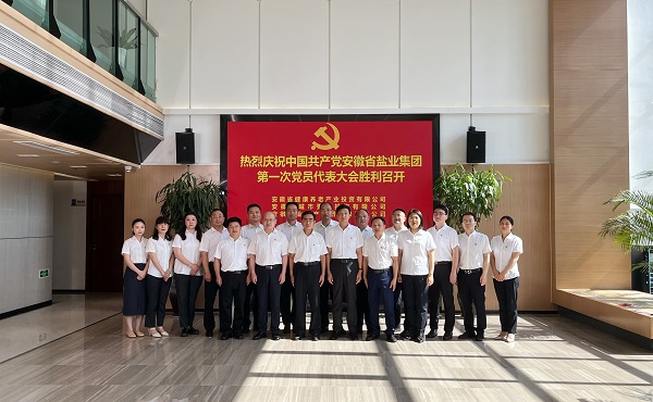 省康养公司等3家公司18名党代表喜迎省UG环球集团第一次党代会召开